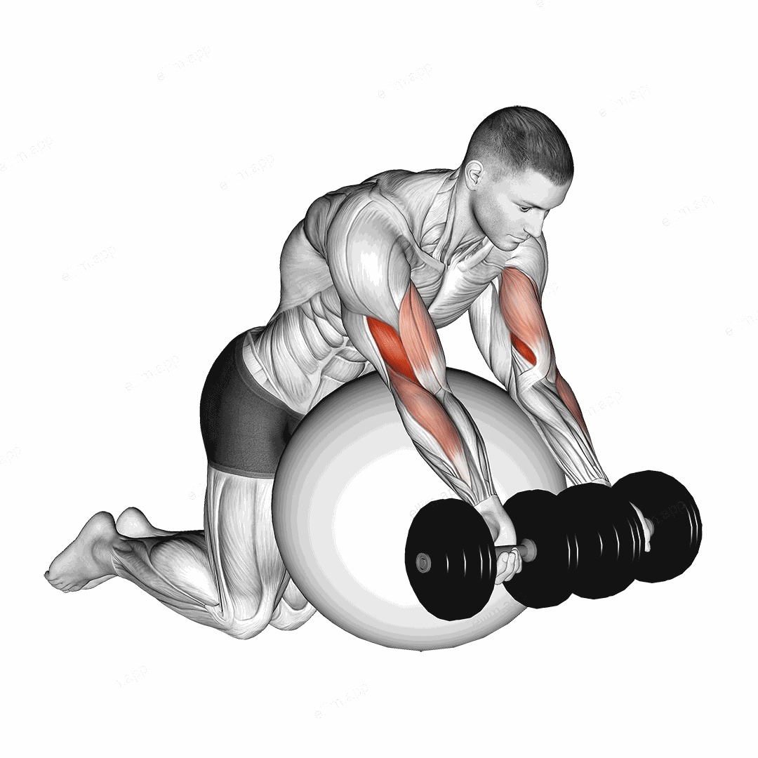 Dumbbell Preacher Curl over Exercise Ball exercise targeting Upper Arms and Brachialis