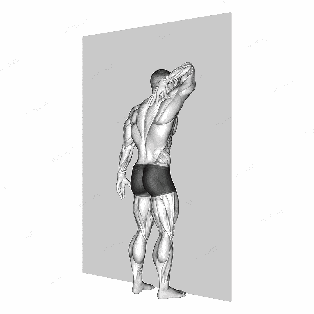Triceps Stretch Against Wall exercise targeting Upper Arms