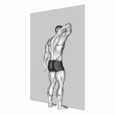 Triceps Stretch Against Wall exercise targeting Upper Arms