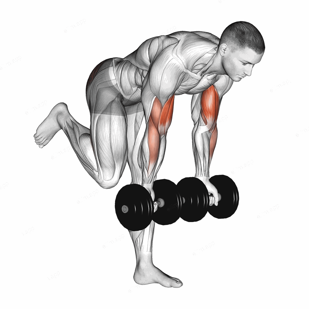 Dumbbell Bicep Curl With Stork Stance exercise targeting Upper Arms