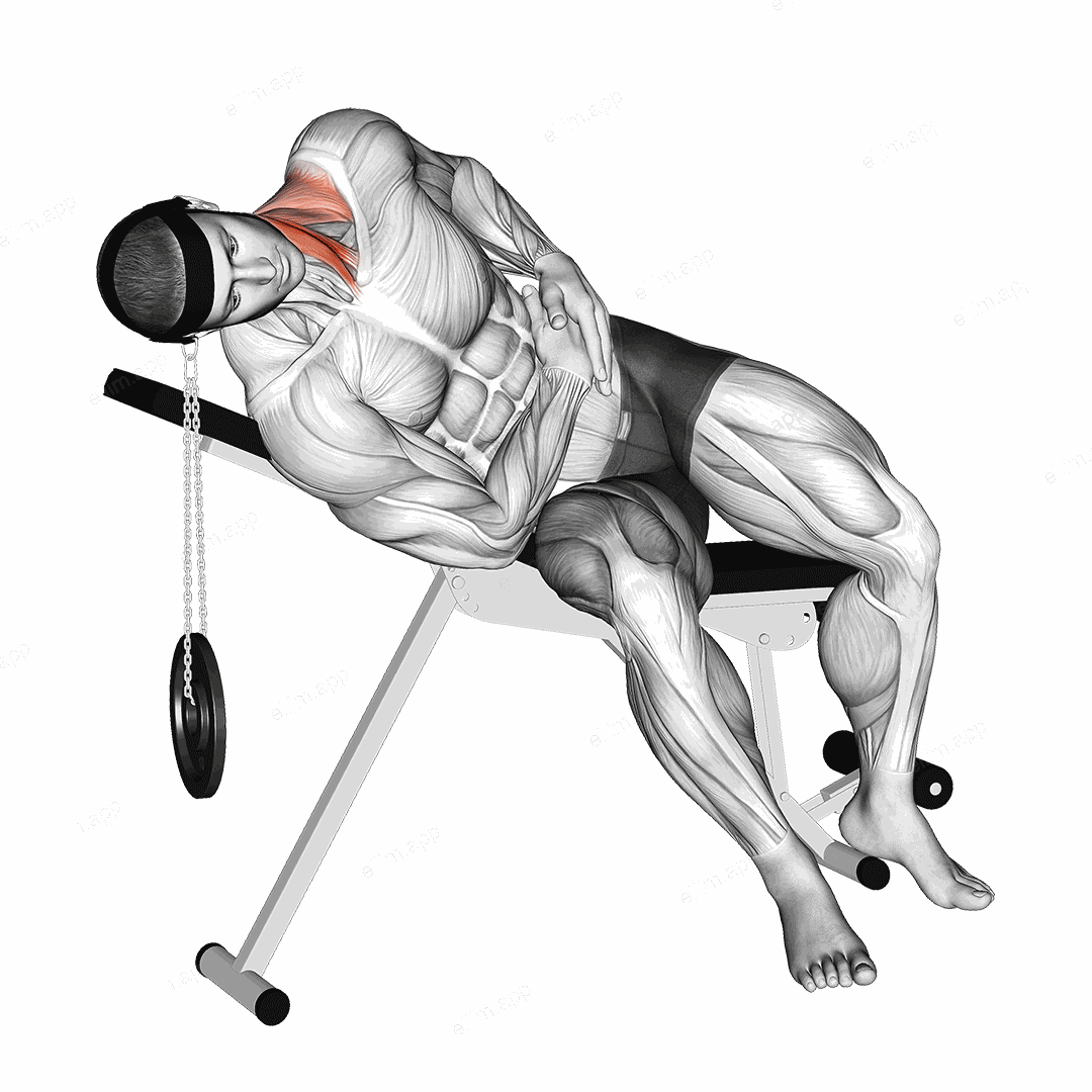 Weighted Lying Side Lifting Head with head harness exercise targeting Neck and Sternocleidomastoid