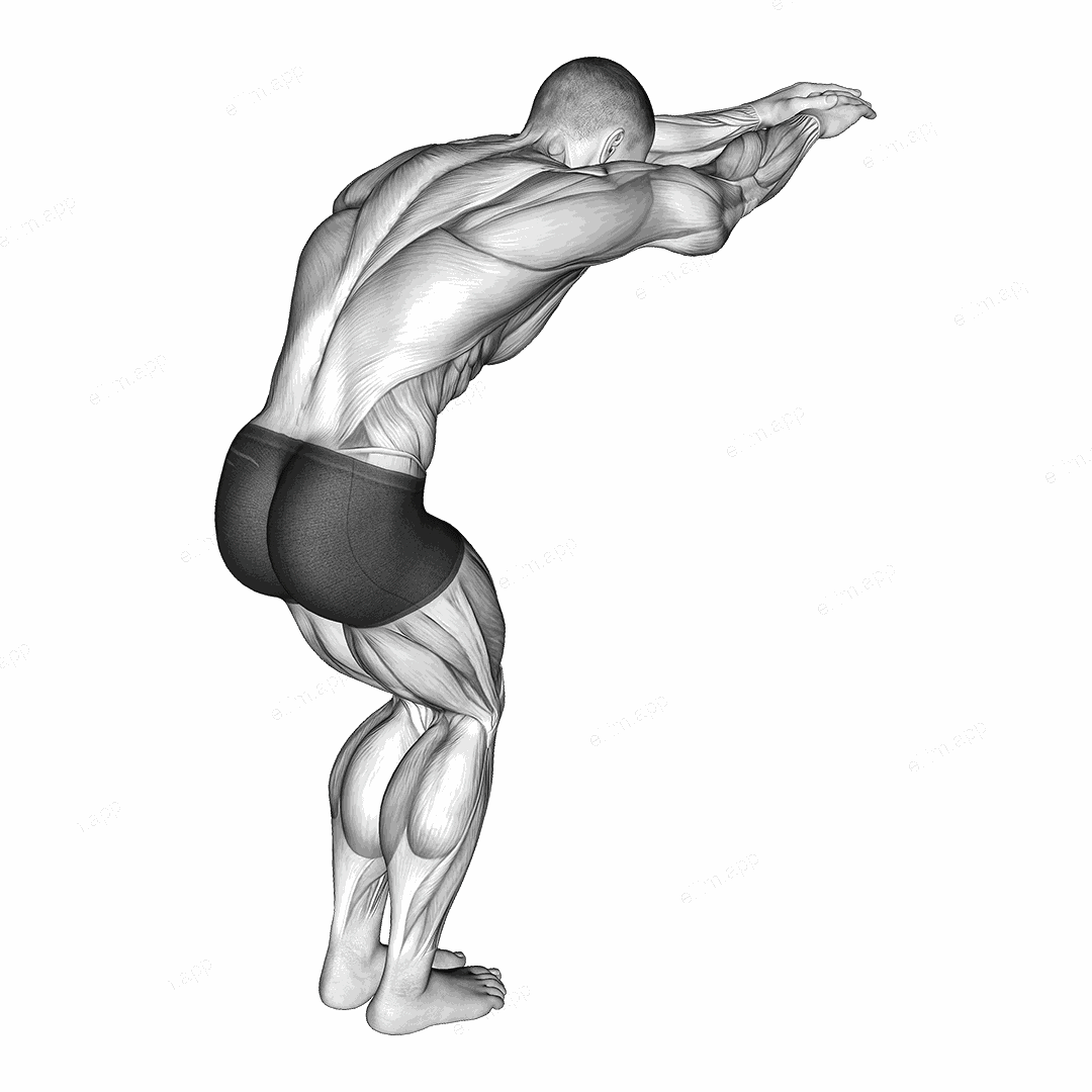 Reach forward upper back stretch exercise targeting Back