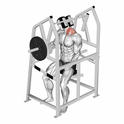 Lever Neck Left Side Flexion (plate loaded) exercise targeting Neck