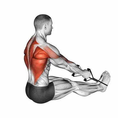 Band straight exercise targeting Back