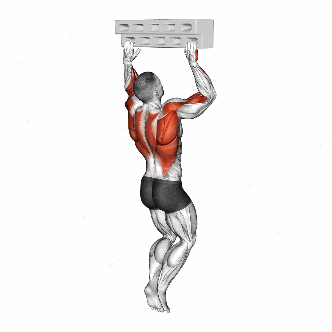 Handboard Hang with 90 Degree Elbow exercise targeting Forearms