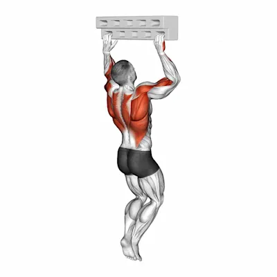 Handboard Hang with 90 Degree Elbow exercise targeting Forearms