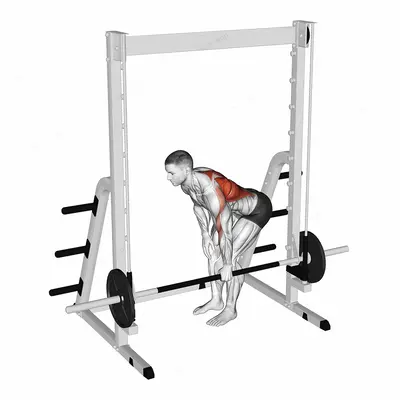 Smith Single Arm Bent Over Row exercise targeting Back