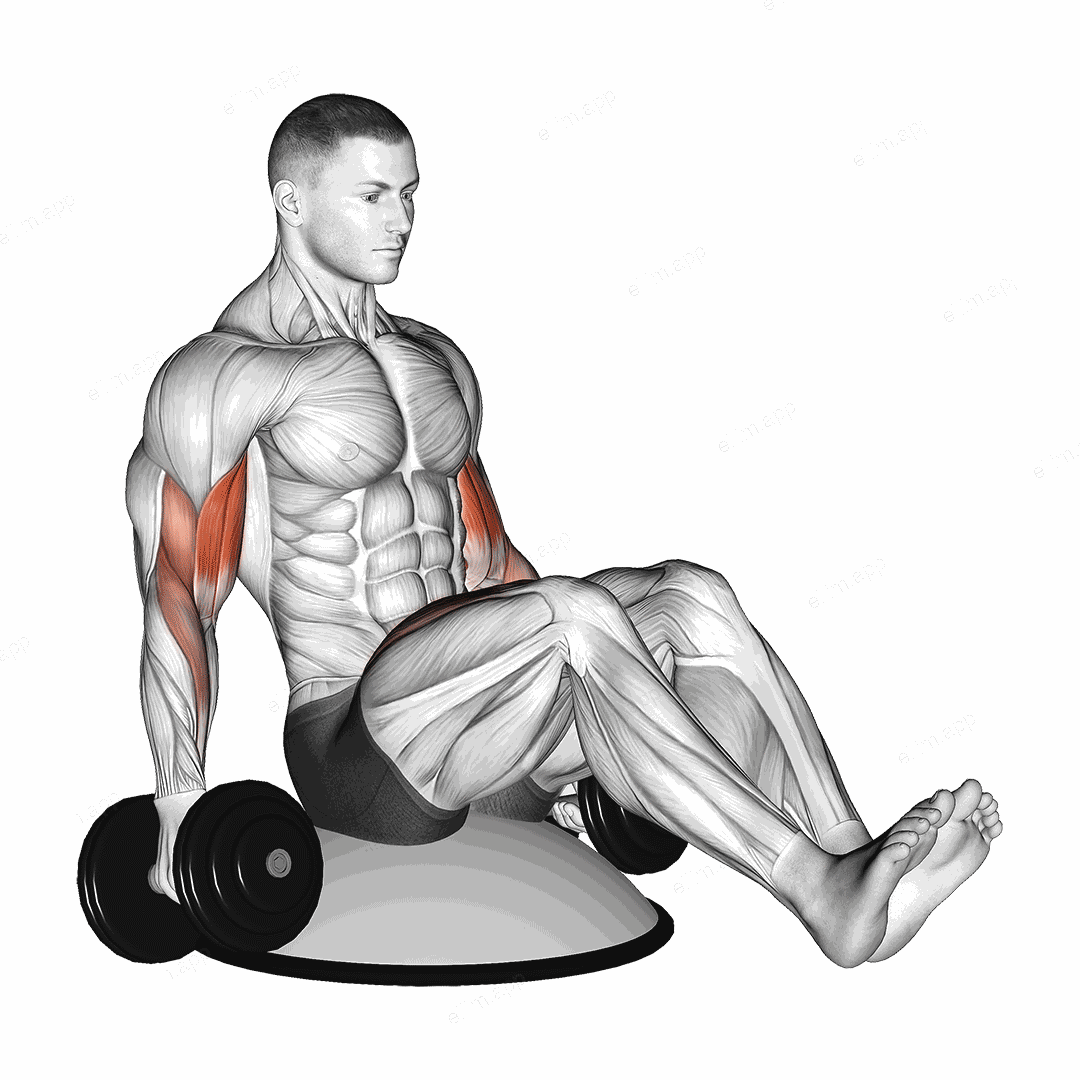 Dumbbell Biceps Curl V Sit on Bosu Ball exercise targeting Upper Arms