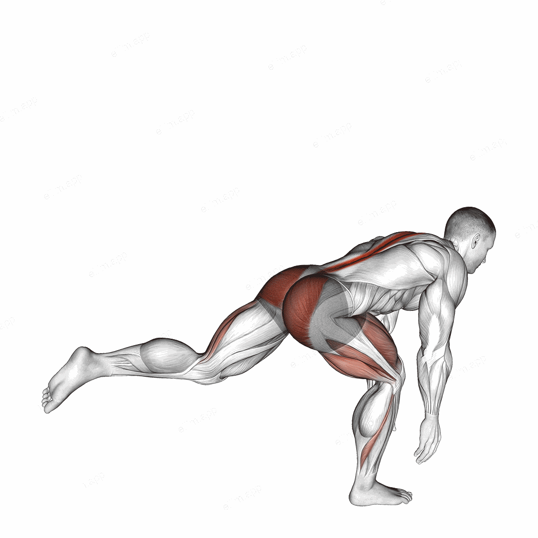 Bodyweight Single Leg Deadlift exercise targeting Thighs and Gluteus Maximus