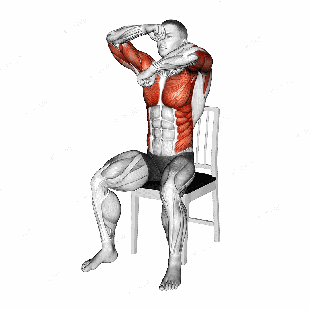 Seated Rotating Boxing Rolls on a Chair exercise targeting Plyometrics