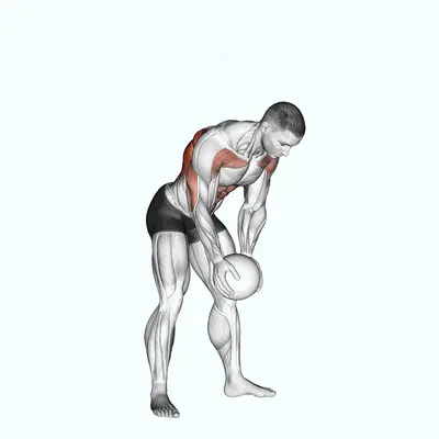 Medicine Ball Catch and Overhead Throw exercise targeting Back and Latissimus Dorsi