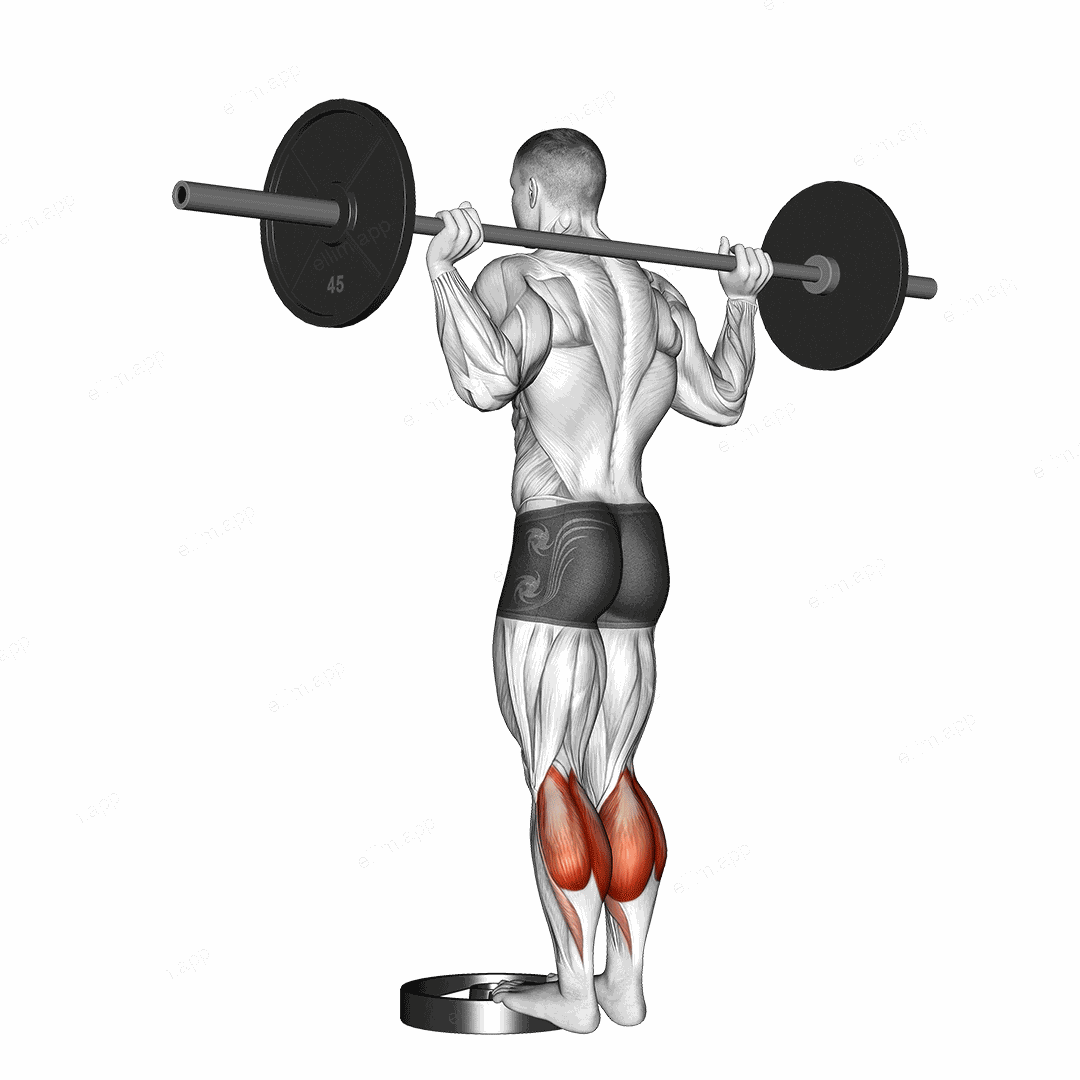 Barbell Standing Calf Raise exercise targeting Calves and Gastrocnemius