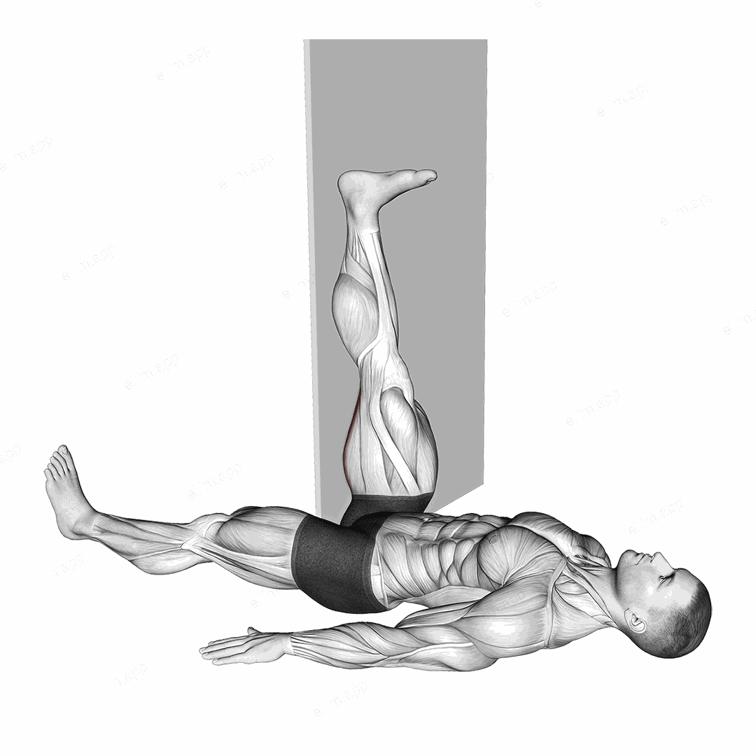 Lying Single Leg Hamstring Stretch against Wall exercise targeting Stretching