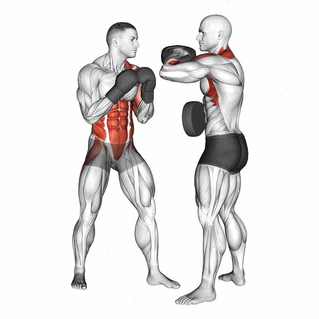 Boxing Left Uppercut (with partner) exercise targeting Plyometrics