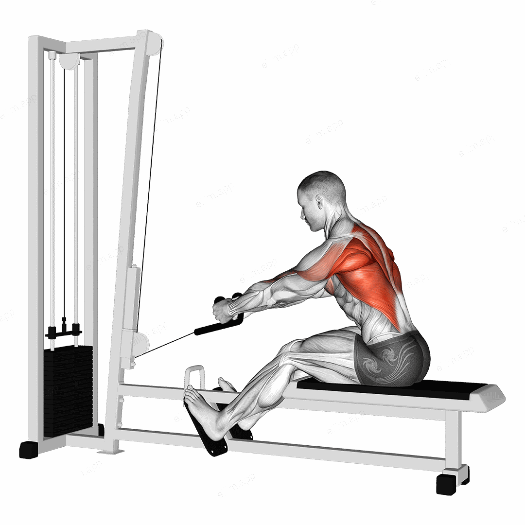 Cable Rope Elevated Seated Row exercise targeting Back and Infraspinatus