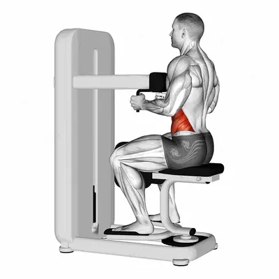 Lever Seated Twist exercise targeting Waist and Obliques