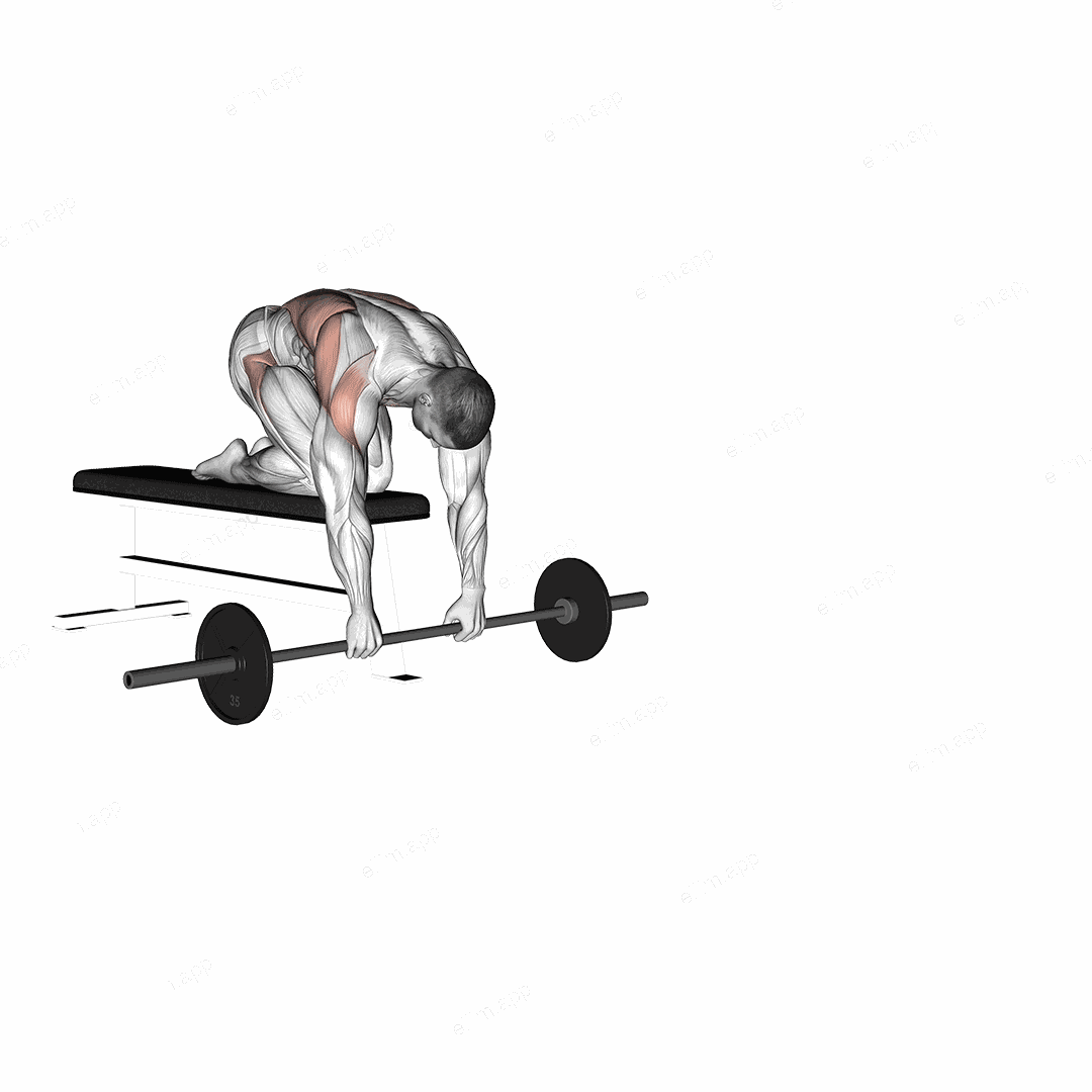 Barbell Rollout from Bench exercise targeting Waist and Iliopsoas