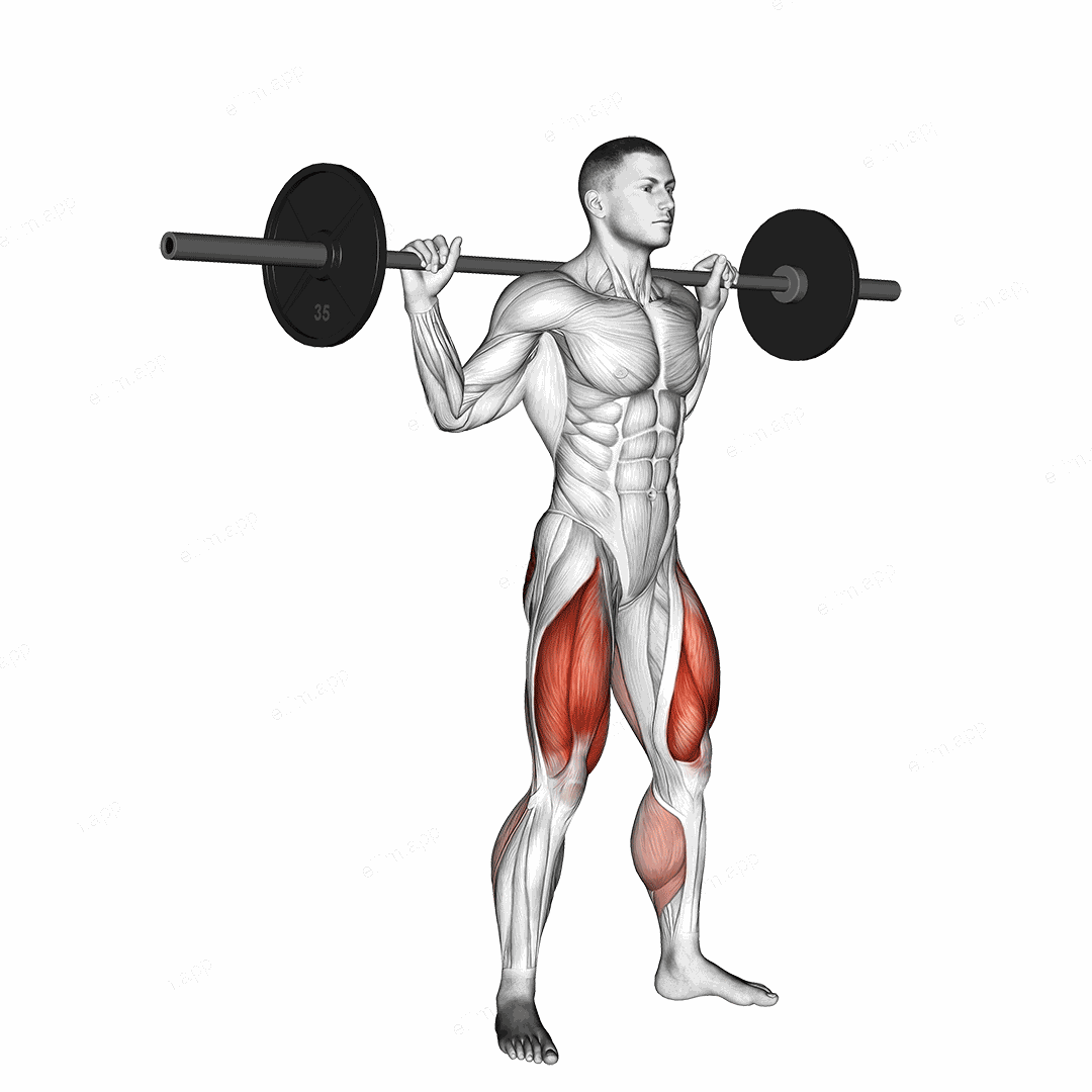 Barbell Jump Squat exercise targeting Thighs and Gluteus Maximus