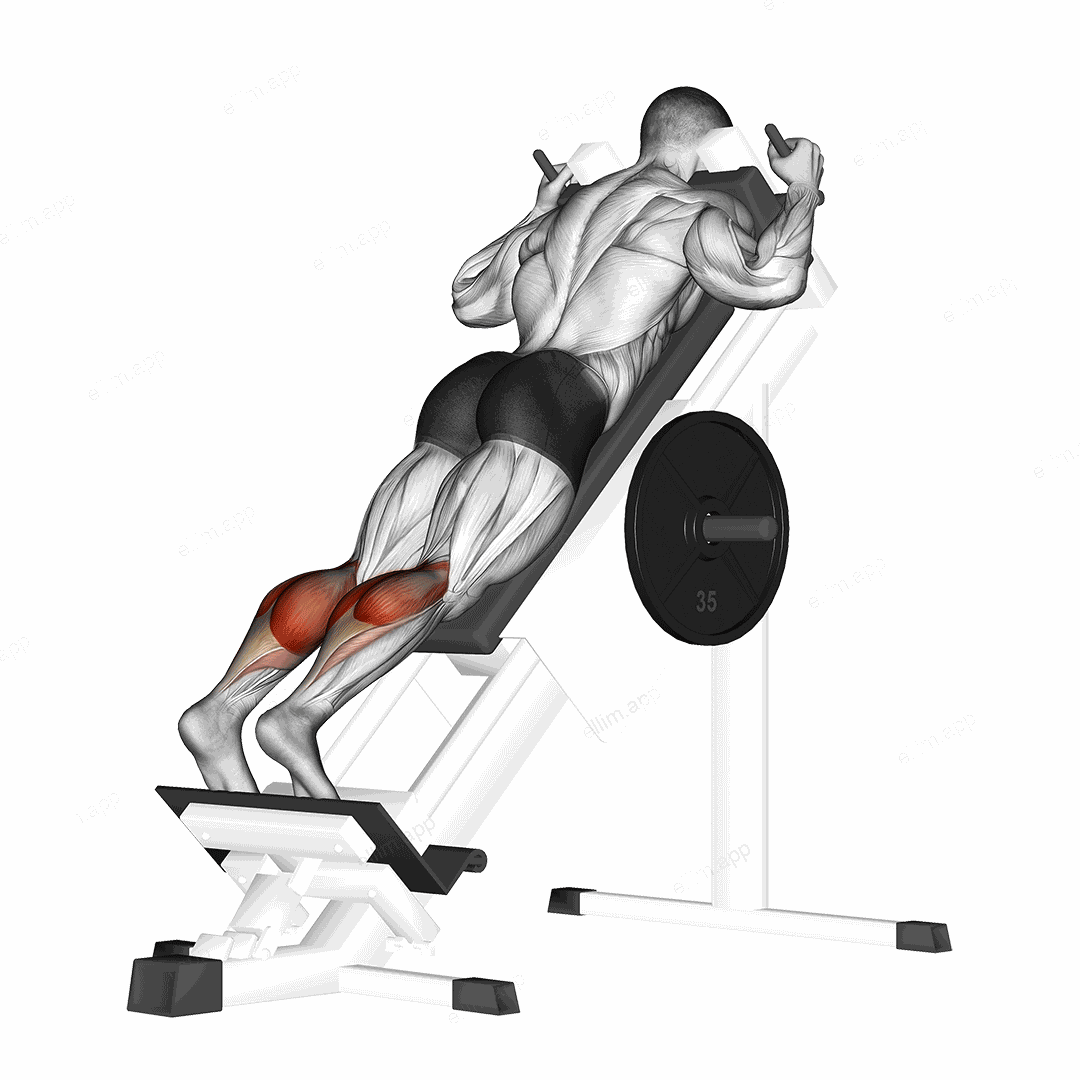 Sled Forward Angled Calf Raise exercise targeting Calves and Gastrocnemius