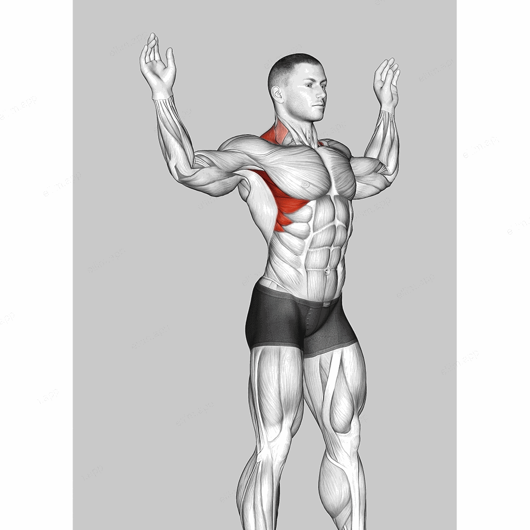 Scapular Slide Back to Wall exercise targeting Back and Serratus Anterior