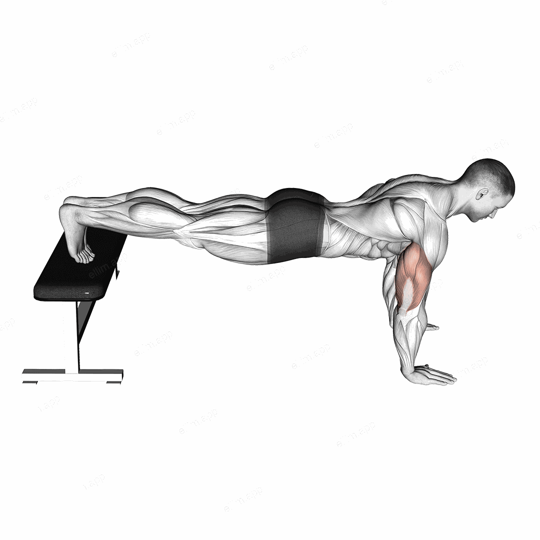 Decline Push Up exercise targeting Chest and Pectoralis Major Clavicular Head