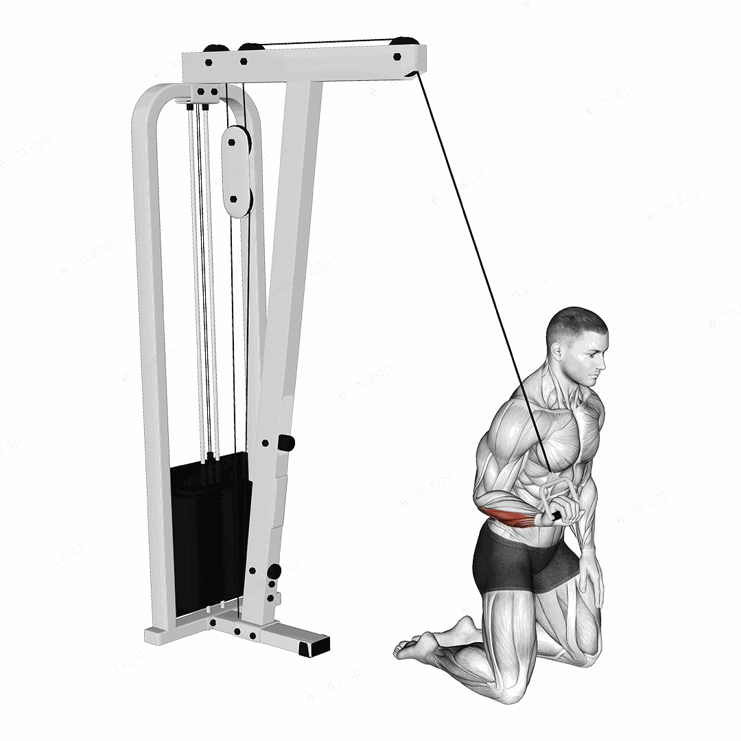 Cable One Arm Wrist Curl exercise targeting Forearms and Wrist Flexors