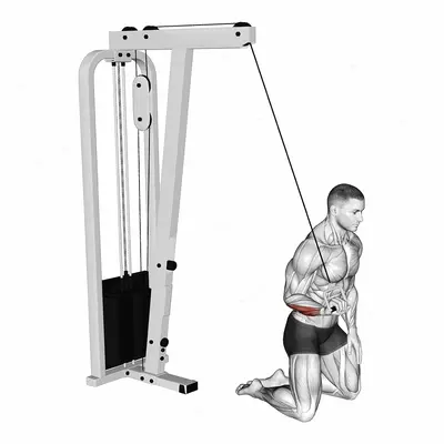 Cable One Arm Wrist Curl exercise targeting Forearms and Wrist Flexors