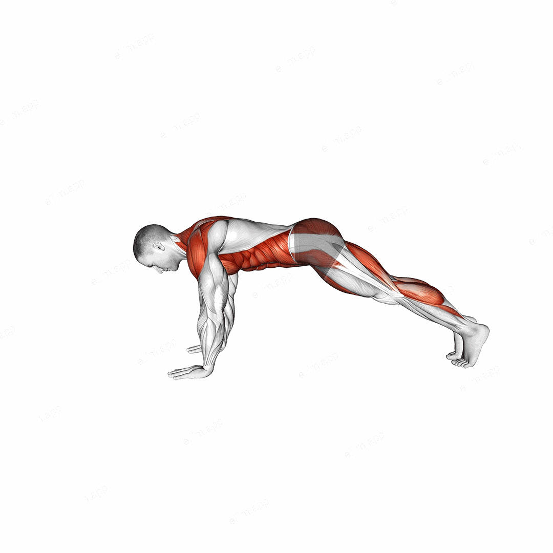 Bird Dog Plank exercise targeting Waist