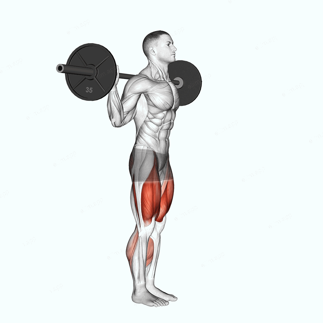 Barbell Walk Calves Activation exercise targeting Thighs and Gluteus Maximus