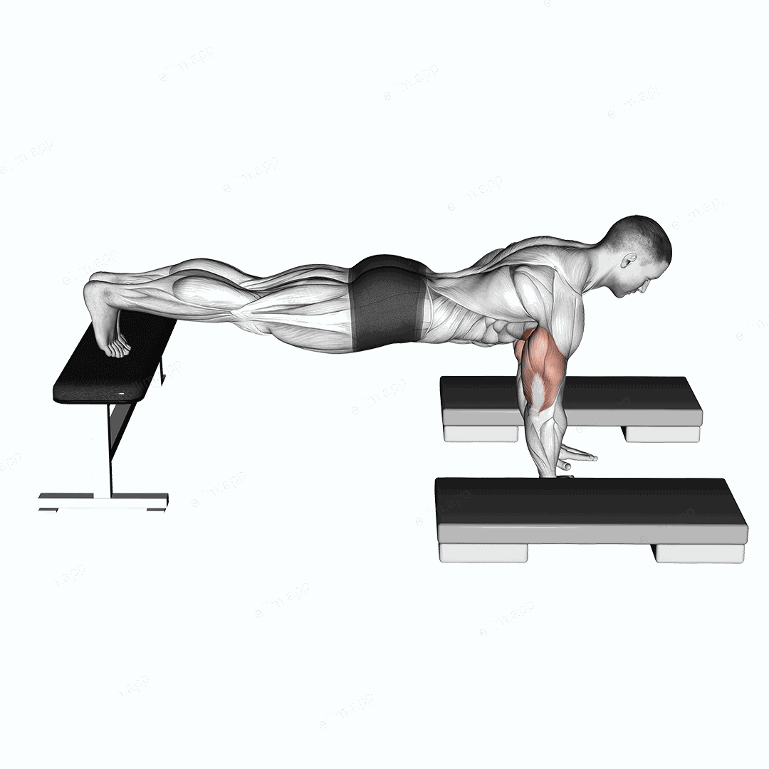 Incline Push Up Depth Jump exercise targeting Chest and Pectoralis Major Sternal Head