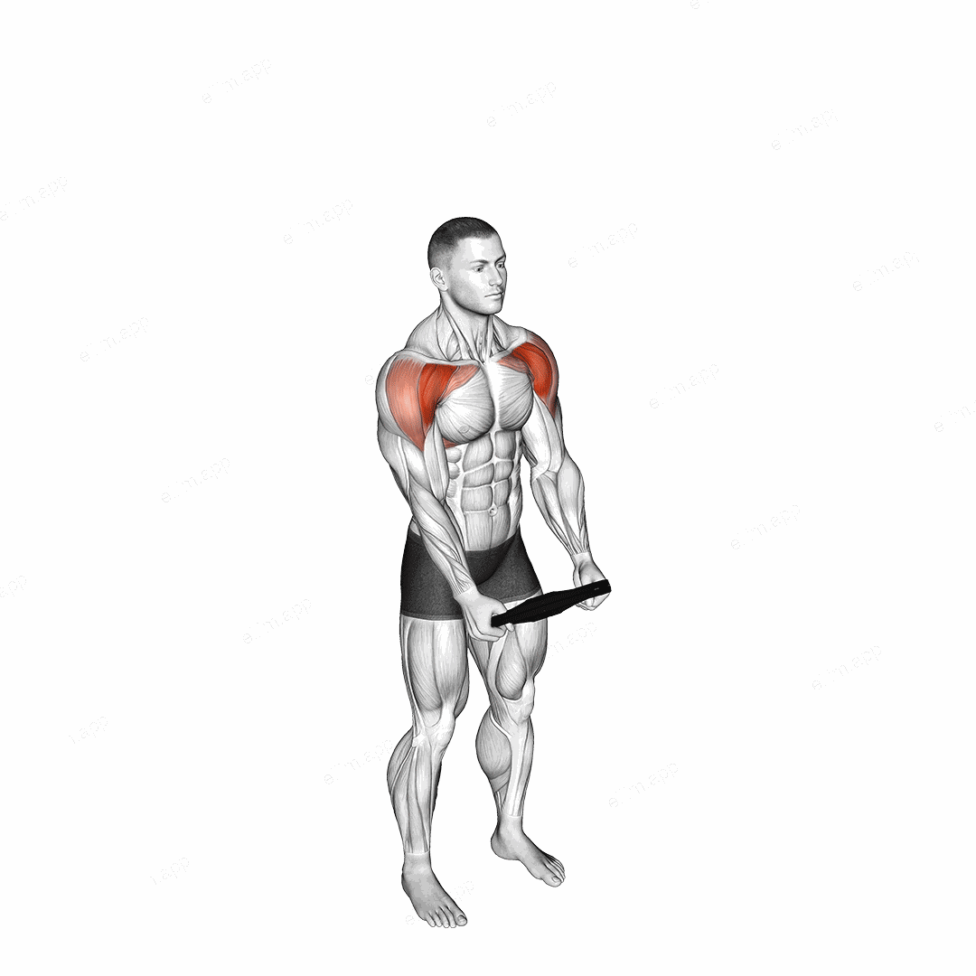 Weighted Plate Standing High Front Raise exercise targeting Shoulders