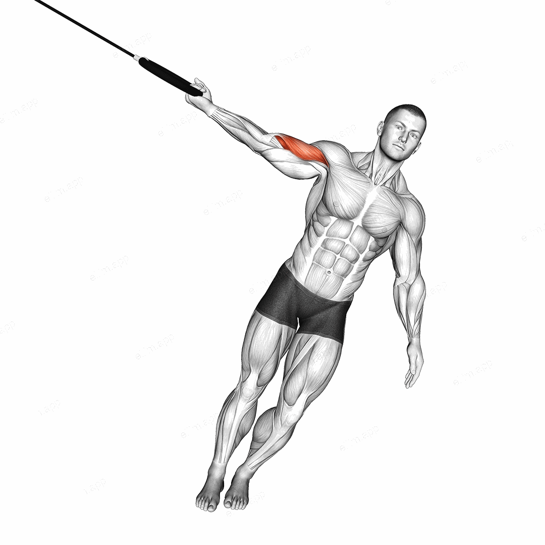 Ring One Arm Biceps Curl exercise targeting Upper Arms