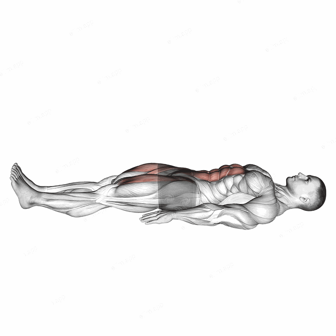Lying Leg Raise and Hold exercise targeting Hips and Iliopsoas
