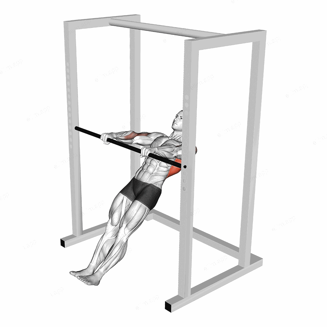 High Bar Inverted Row exercise targeting Back