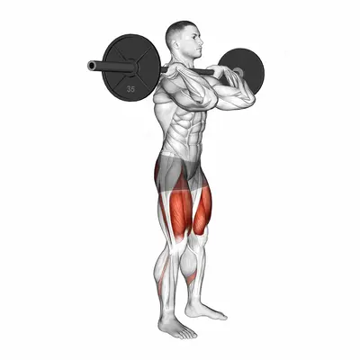Barbell Clean grip Front Squat exercise targeting Thighs