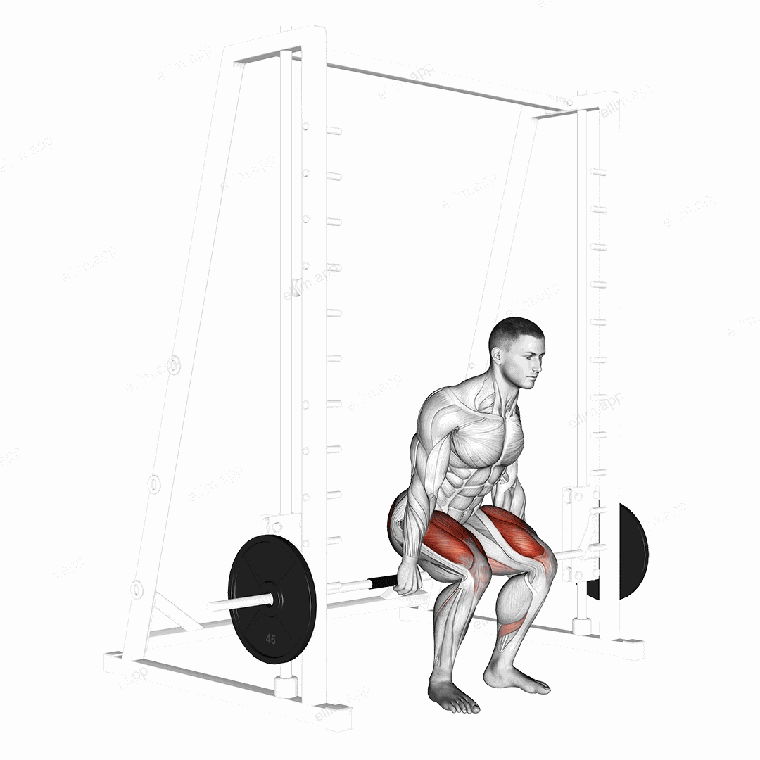 Smith Hack Squat exercise targeting Hips and Gluteus Maximus