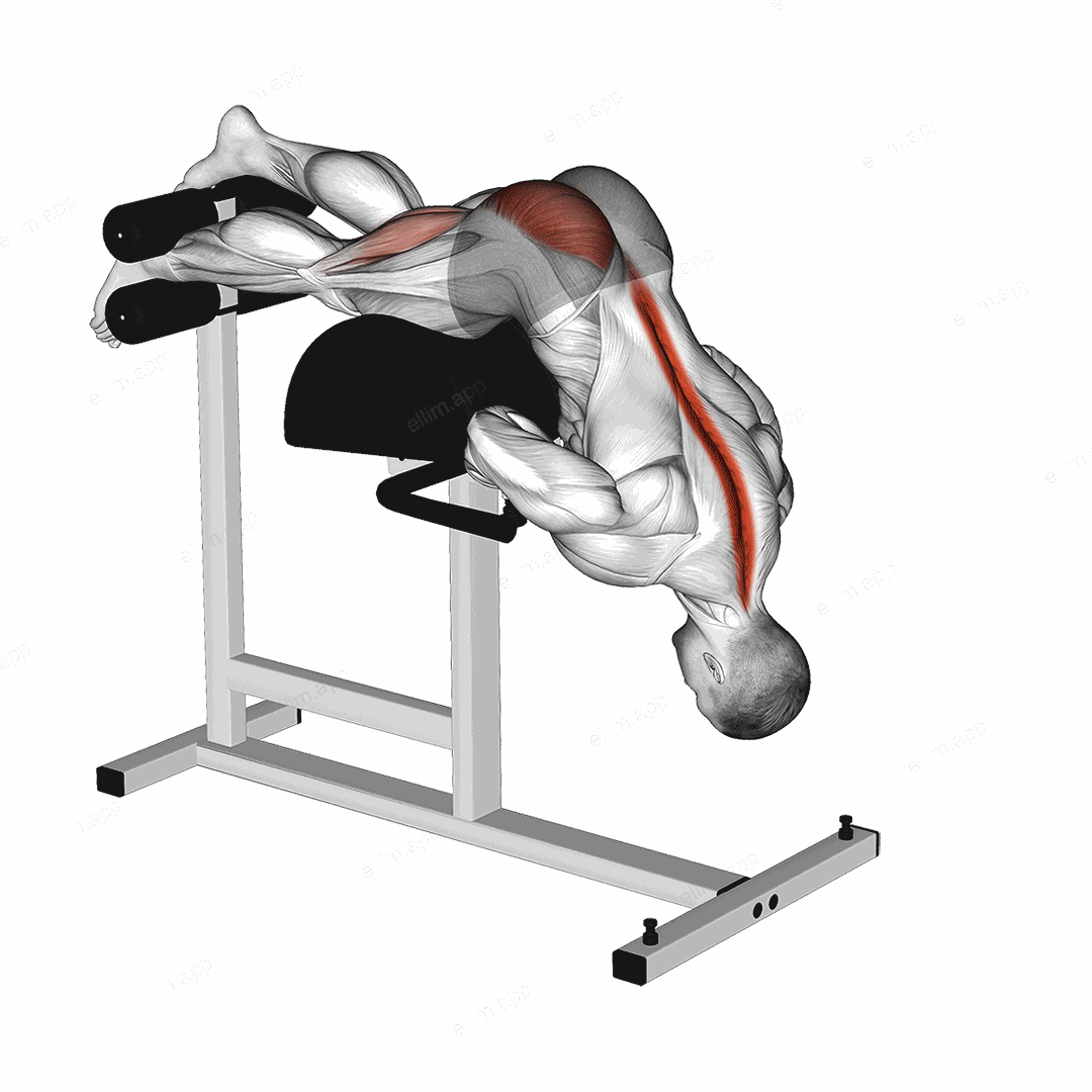 Glute Ham Single Leg Hyperextension exercise targeting Hips
