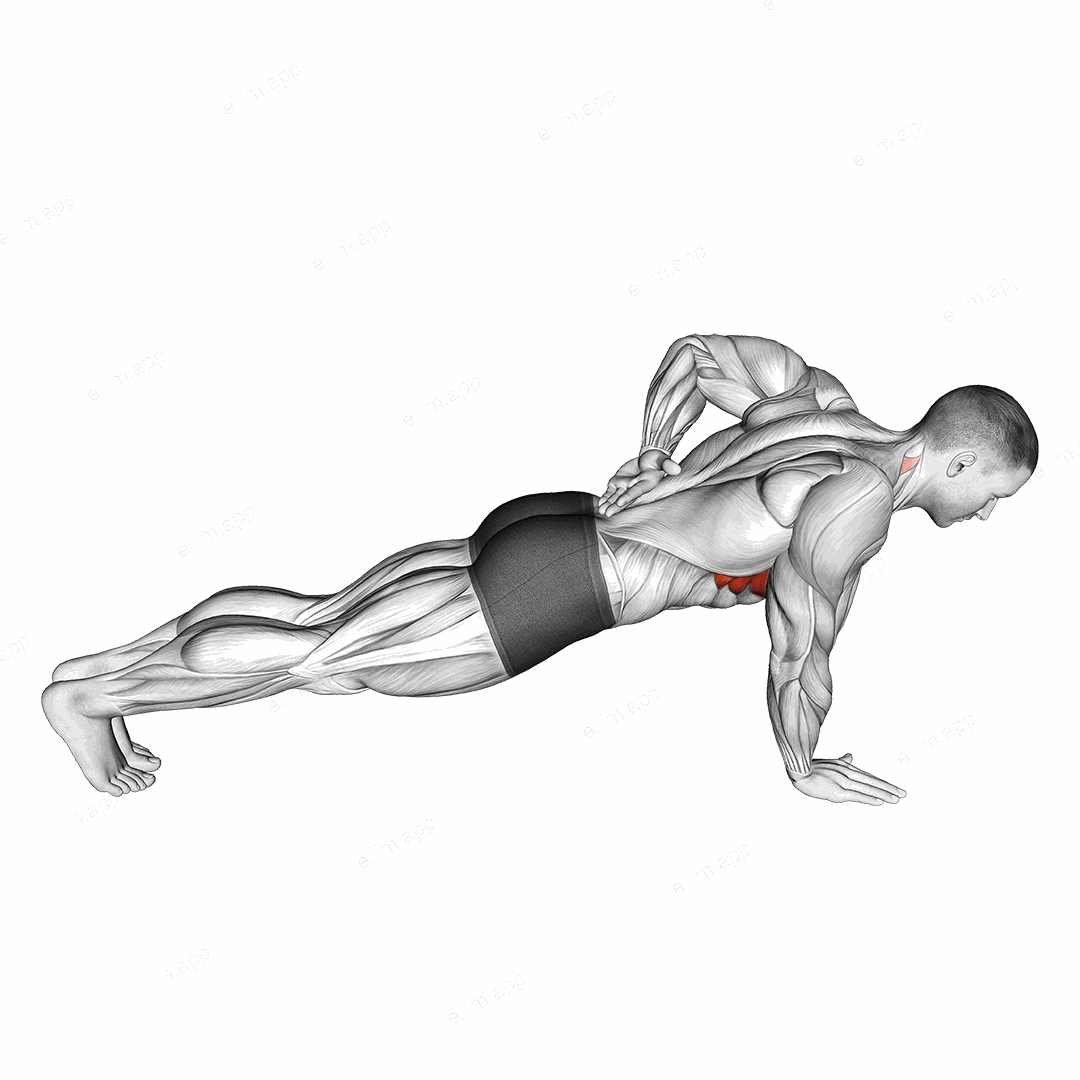 Single Arm Scapula Push up exercise targeting Back