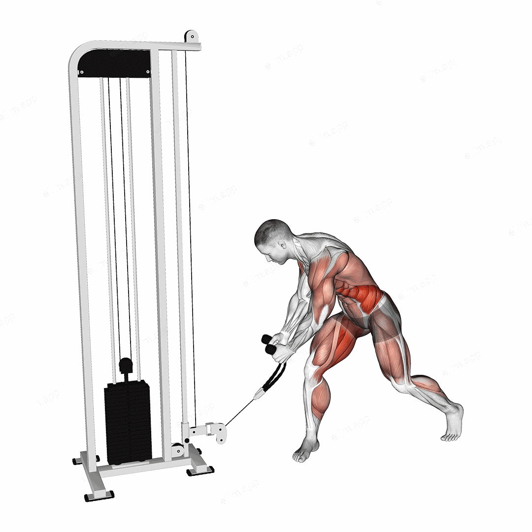 Twist Turn Lift exercise targeting Waist