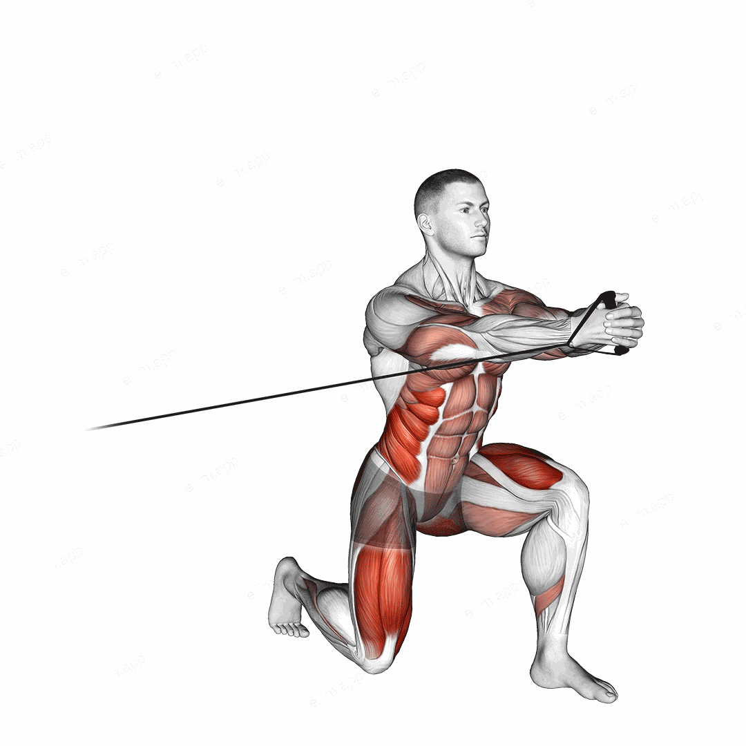 Band Split Squat with Horizontal Pallof Hold exercise targeting Hips and Thighs
