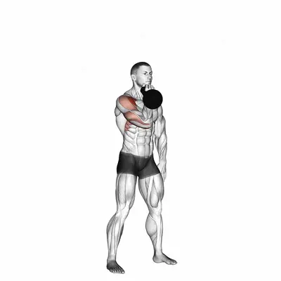 Kettlebell Arnold Press exercise targeting Shoulders and Deltoid Anterior