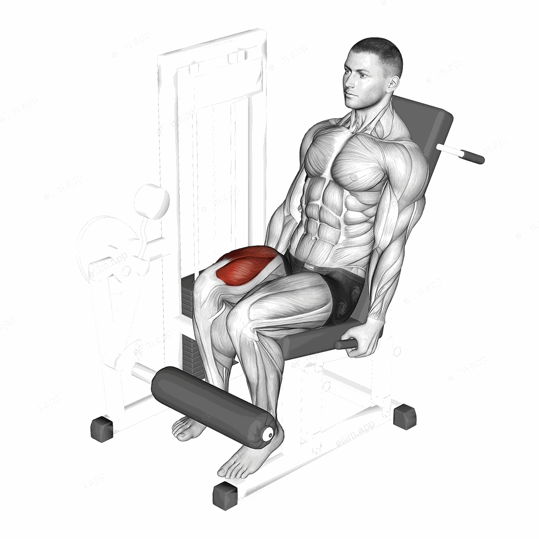 Lever One Leg Extension exercise targeting Thighs and Quadriceps