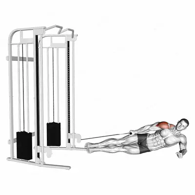 Cable Side Lying Lateral Raise exercise targeting Shoulders