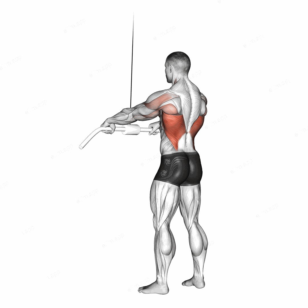 Cable Straight Arm Pulldown exercise targeting Back and Latissimus Dorsi