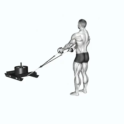 Power Sled Rear Lunge exercise targeting Hips