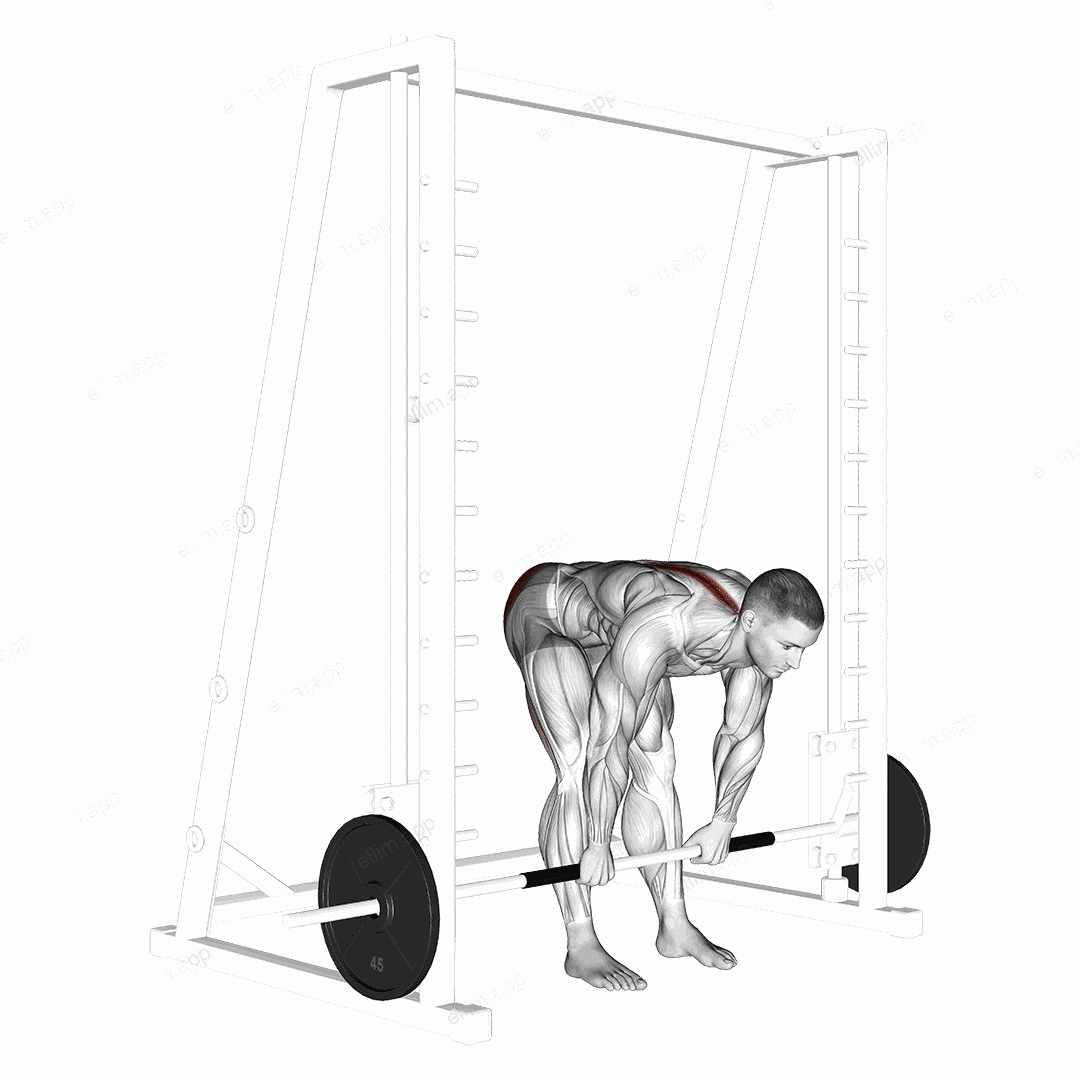 Smith Stiff Legged Deadlift exercise targeting Hips