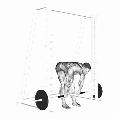 Smith Stiff Legged Deadlift exercise targeting Hips