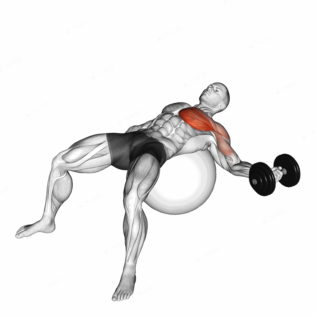 Dumbbell One Arm Chest Fly on Exercise Ball exercise targeting Chest and Pectoralis Major Sternal Head