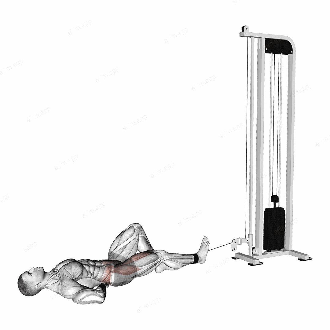 Cable Lying Single Leg Hip Flexion exercise targeting Hips