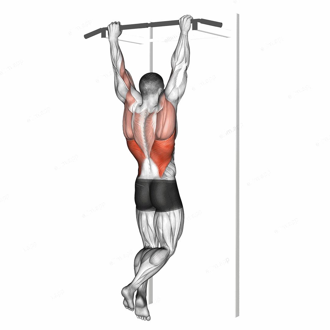 Rocky Pull Up Pulldown exercise targeting Back